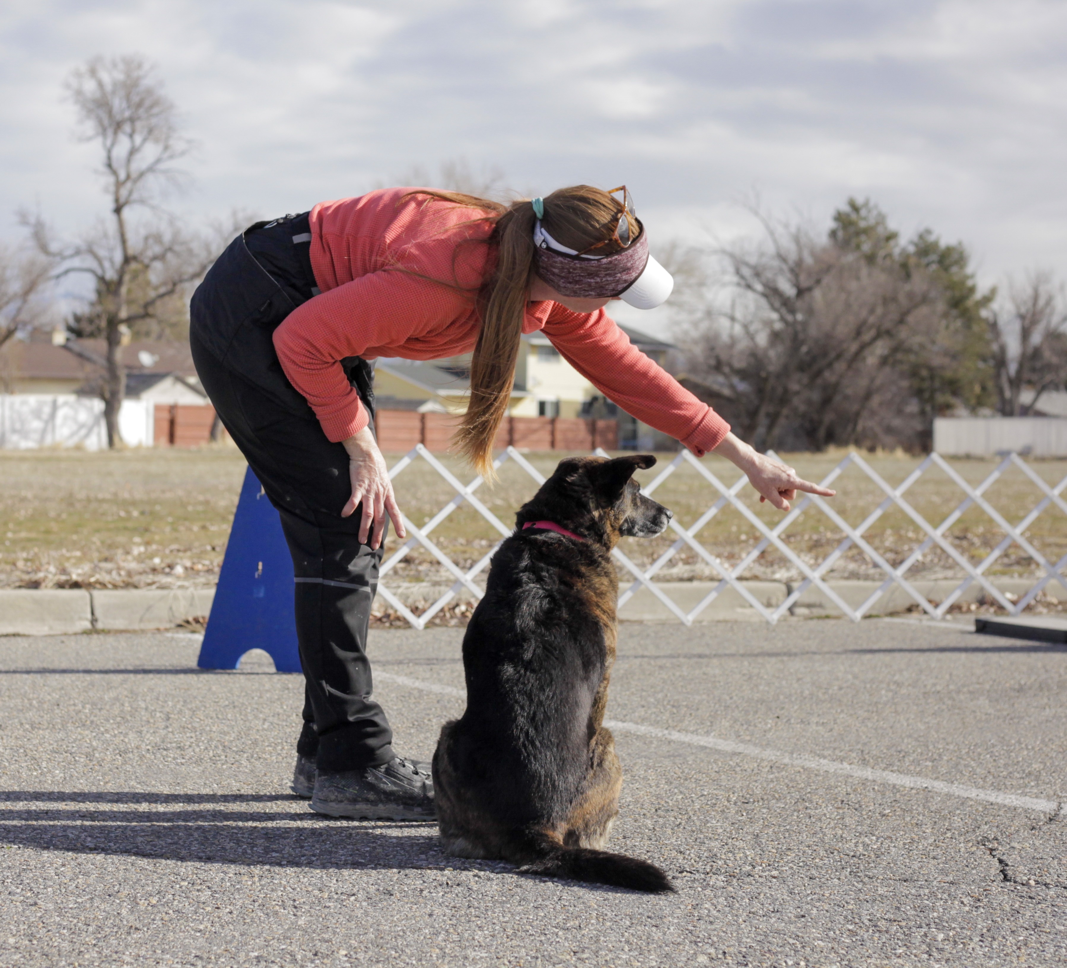 Why Obedience? Be a Guide and Good Friend for Your Dog.